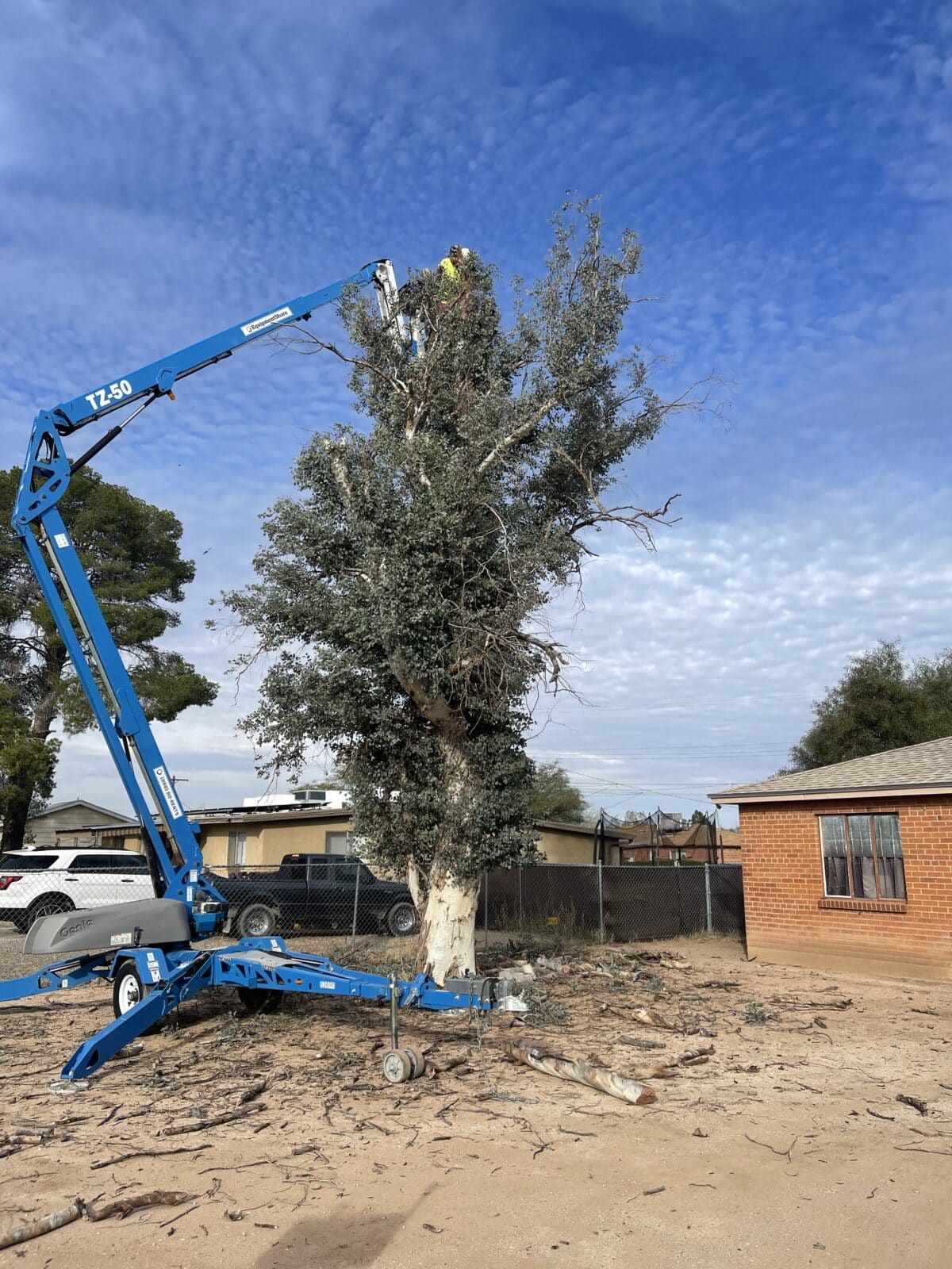 Cutting down tree