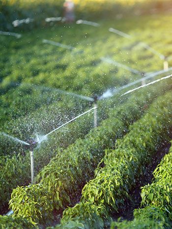 Irrigation system