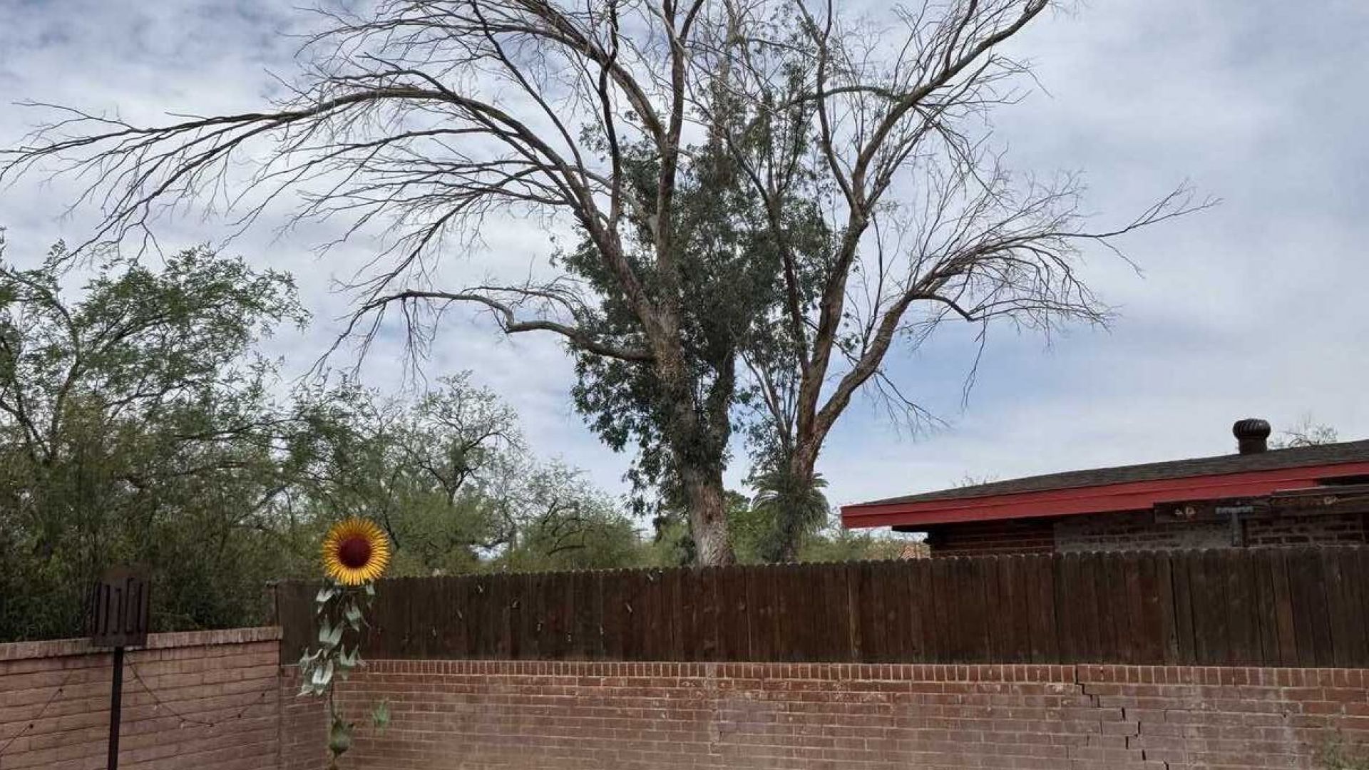 Storm damage