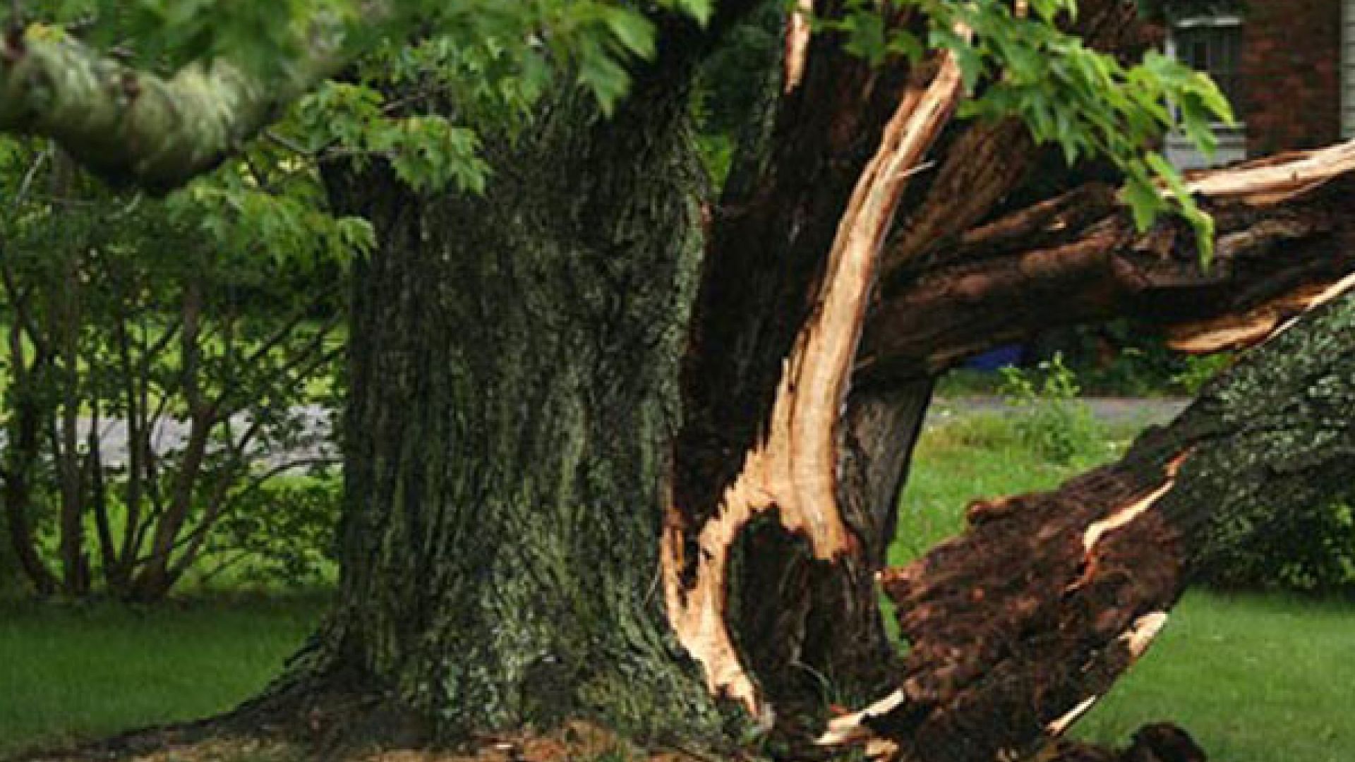 Storm damage