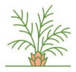 Irrigation Services