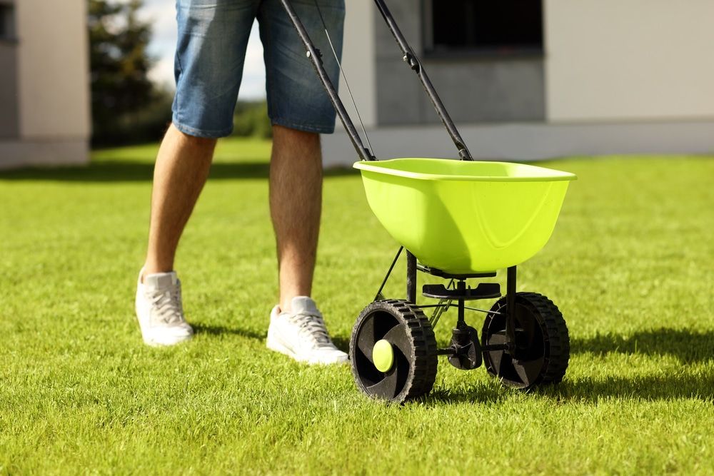 Lawn Maintenance