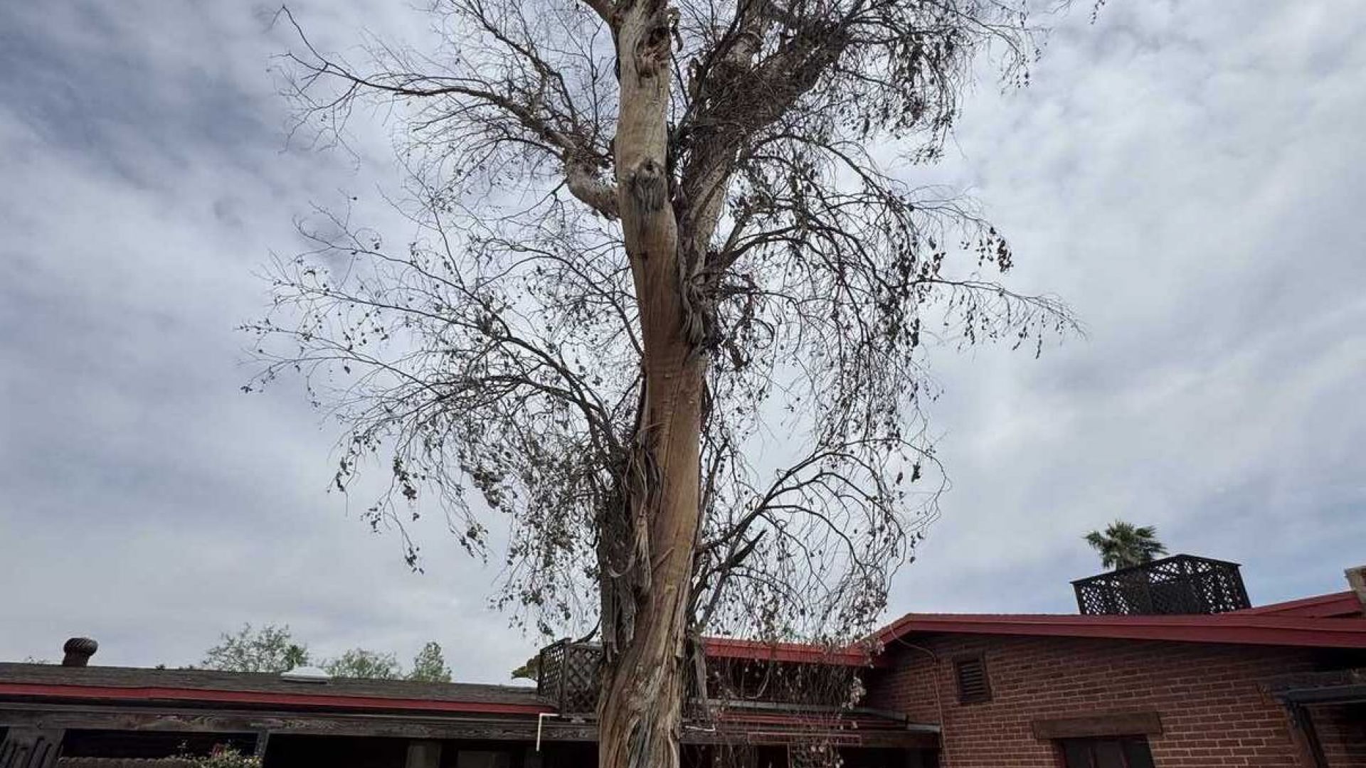 Storm damage