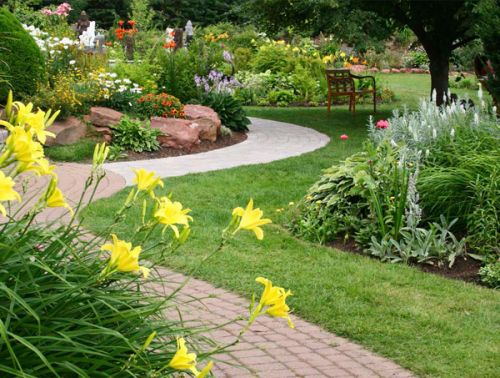 Landscape Design in Tucson