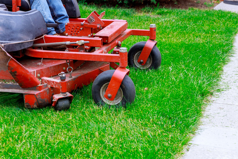 Grass Lawn