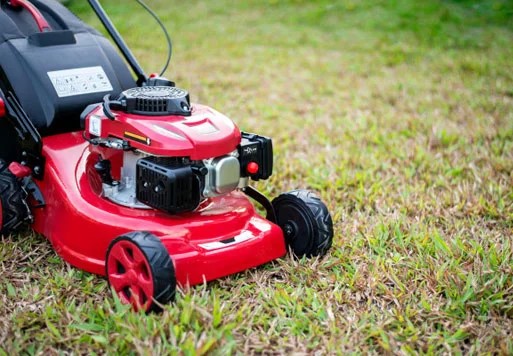 Yard Cleaning Services in Tucson, AZ