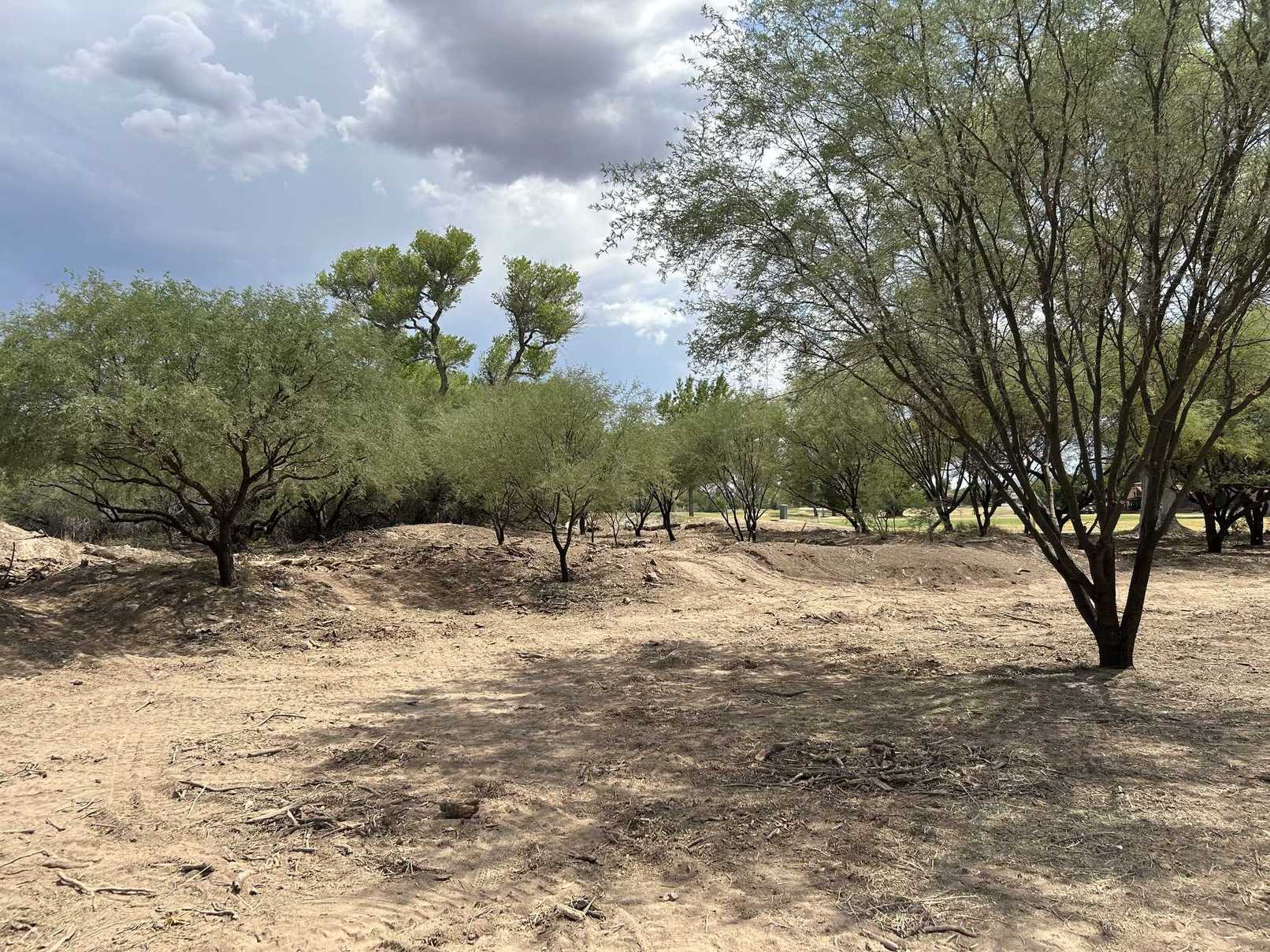 Happy customer with clean space