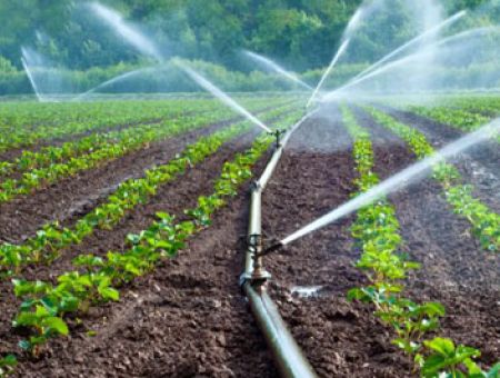 Irrigation System Repair