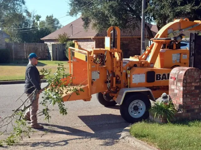 Worker removing a tree after the customer agreed the Tree Removal Cost in Tucson