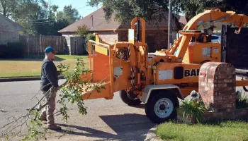 Worker removing a tree after the customer agreed the Tree Removal Cost in Tucson